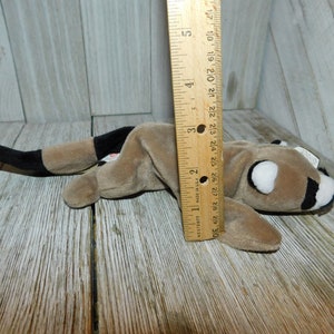 K&ouml;nnte beinhalten: Ein braunes und schwarzes Waschb&auml;r-Pl&uuml;schtier der Marke Beanie Baby, etwa 18 cm lang, das auf einer Holzoberfl&auml;che liegt. Das Spielzeug hat wei&szlig;e Augen und eine schwarze Nase.