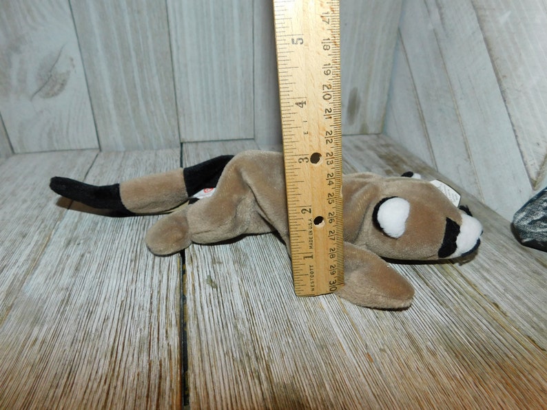 K&ouml;nnte beinhalten: Ein braunes und schwarzes Waschb&auml;r-Pl&uuml;schtier der Marke Beanie Baby, etwa 18 cm lang, das auf einer Holzoberfl&auml;che liegt. Das Spielzeug hat wei&szlig;e Augen und eine schwarze Nase.