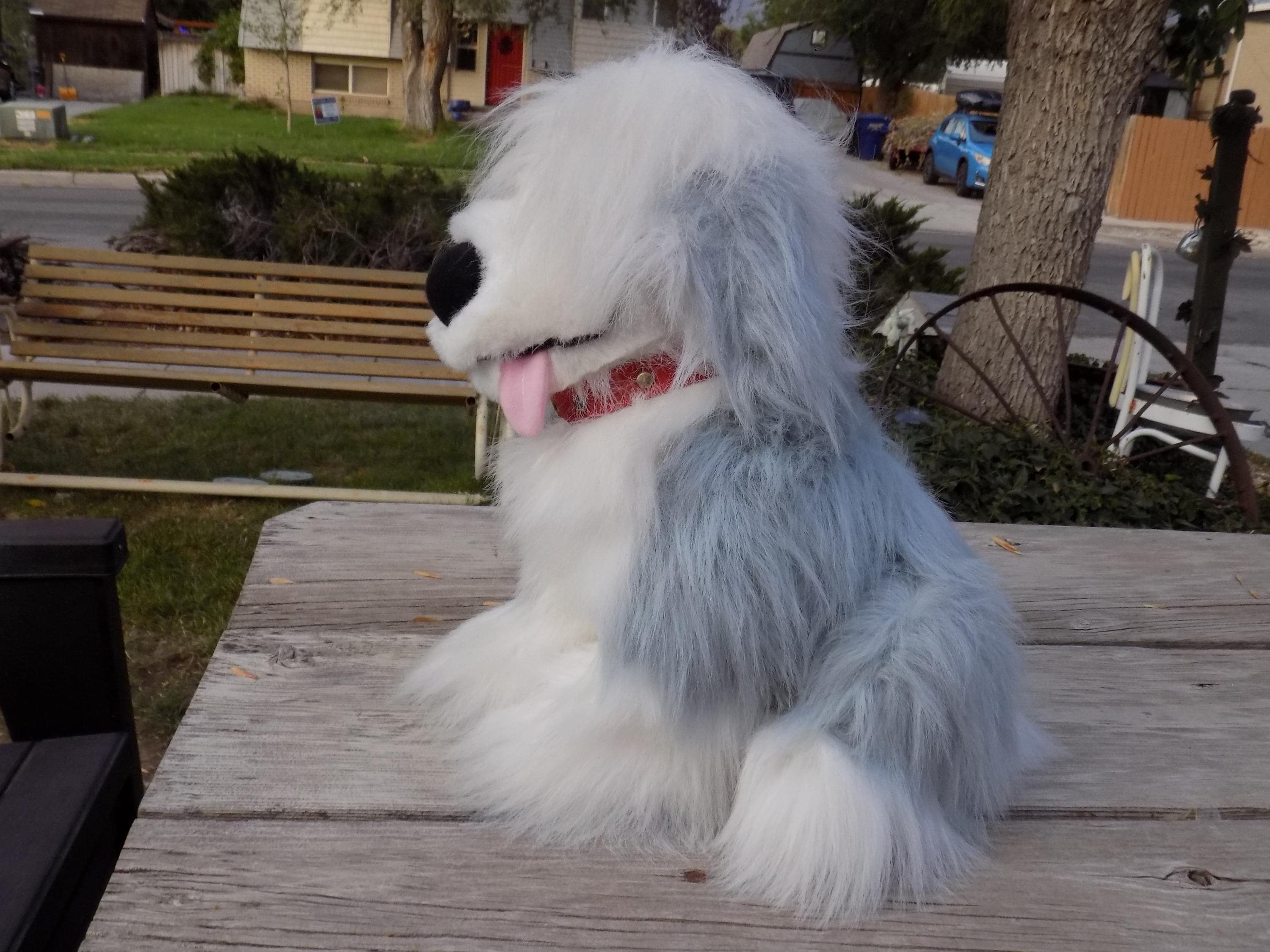 Max Little Mermaid Dog