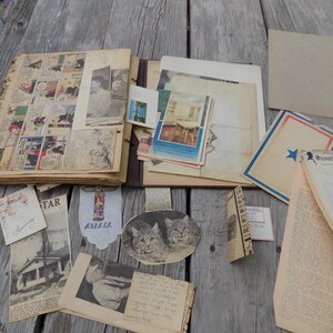 May include: An open scrapbook with vintage ephemera, including comic strips, postcards, and newspaper clippings. Various papers and documents are scattered around the scrapbook on a weathered wooden surface. A cat portrait is also visible.
