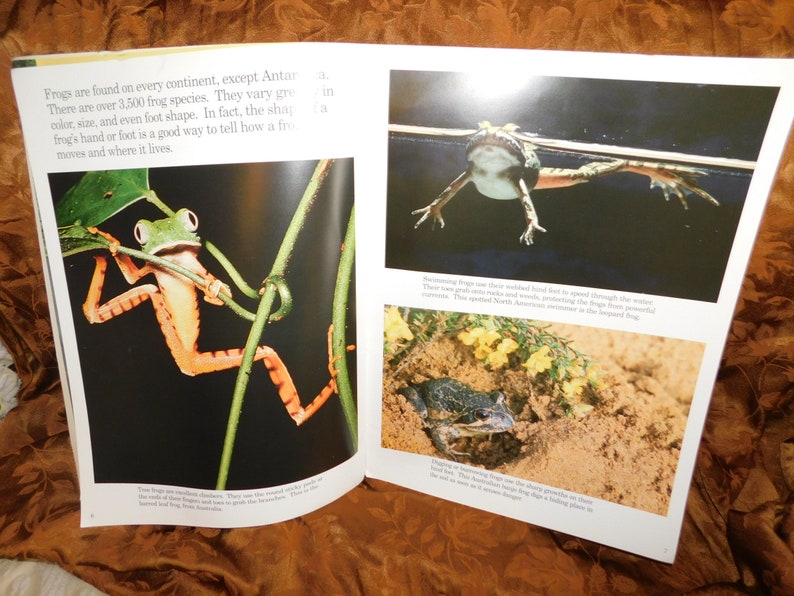 Those Fabulous Frogs Paperback by Melvin Berger Author Etsy