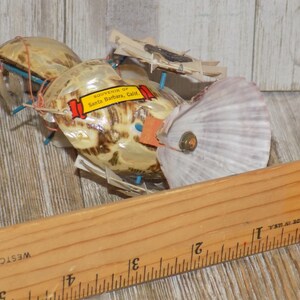 May include: A seashell art piece with a label that reads "Souvenir of Santa Barbara, Calif." The piece is made of several seashells, held together with string and blue sticks. A wooden ruler is in the foreground.