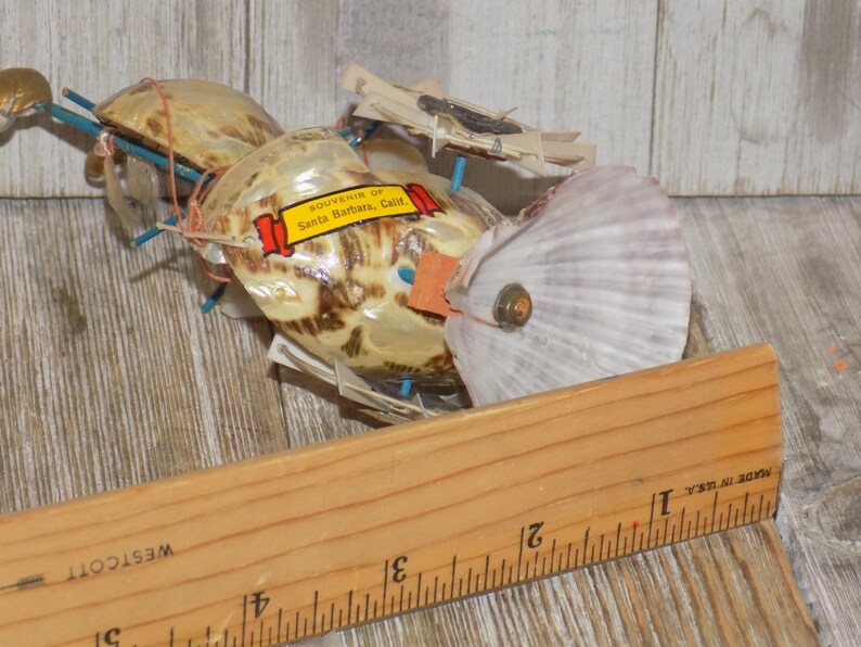 May include: A seashell art piece with a label that reads "Souvenir of Santa Barbara, Calif." The piece is made of several seashells, held together with string and blue sticks. A wooden ruler is in the foreground.