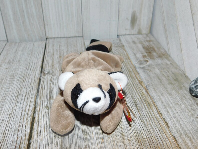 K&ouml;nnte beinhalten: Ein braunes und schwarzes Waschb&auml;r-Beanie Baby mit wei&szlig;em Gesicht und schwarzen Augen. Das Beanie Baby liegt auf der Seite mit eingerolltem Schwanz. Das Beanie Baby hat ein rotes und wei&szlig;es Etikett.