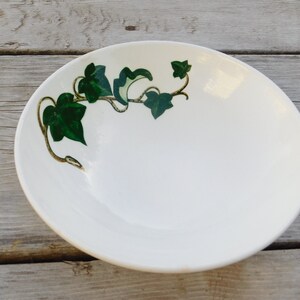 May include: A white ceramic bowl with a green ivy design. The bowl is round and has a slight lip.