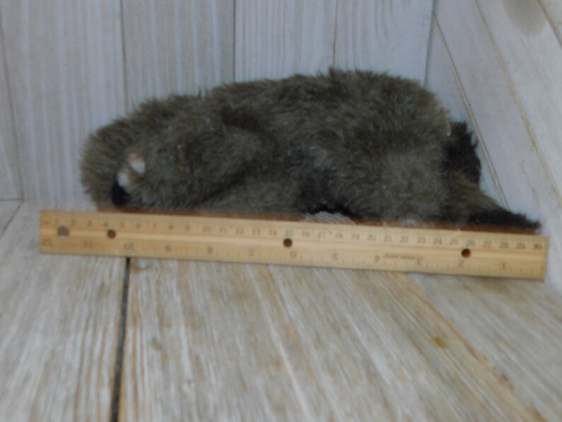 Puede incluir: Un animal de peluche gris que se parece a un mapache o un tej&oacute;n acostado sobre una superficie de madera con una regla al lado.