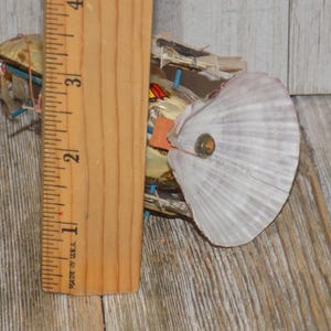 May include: A handmade art piece featuring a large white seashell with a button in the center. The artwork is constructed with various materials and is next to a wooden ruler, showing a measurement of approximately 3 inches.