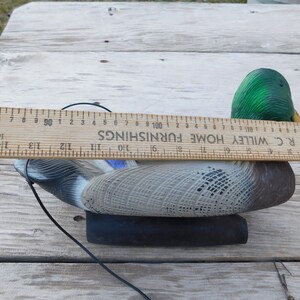 May include: A green-headed mallard duck decoy with a black base and a string attached. The decoy is 11 inches long and is sitting on a wooden surface. The ruler is labeled "R.C. Willey Home Furnishings".