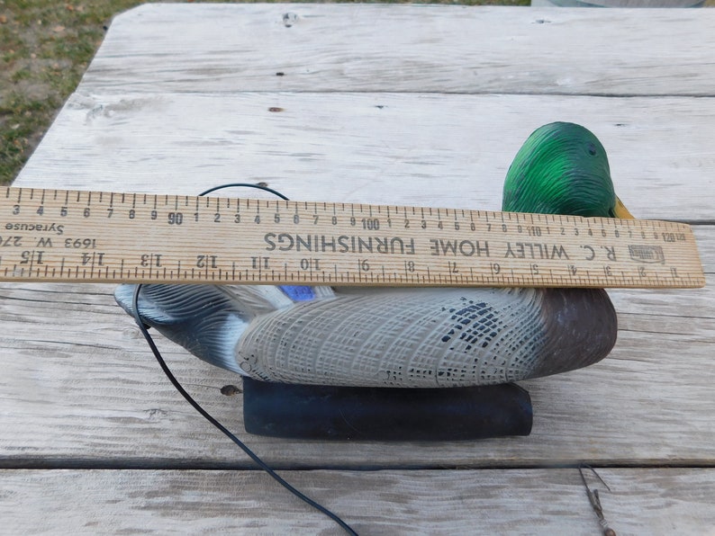 May include: A green-headed mallard duck decoy with a black base and a string attached. The decoy is 11 inches long and is sitting on a wooden surface. The ruler is labeled "R.C. Willey Home Furnishings".