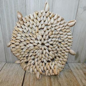 May include: Round decorative coaster made of small, cream-colored seashells. The shells are arranged in a circular pattern, with larger shells forming points around the edge. The coaster is a natural, coastal-themed home decor item.