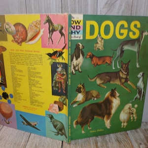 How and Why Wonder Books DOGS 1962 Hardcover Book, Childrens Book, Irving Robbin William Barss Memories Gift Prop Daysgonebytreasures **