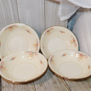 Egg Shell Nautilus Dessert Bowls K47 N S USA Pink Blue White Rose Dessert Bowls Set 4 Vtg Bowls Vintage China Daysgonebytreasures  **