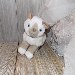 May include: A plush toy cat with white fur, tan ears, and a tan face. The cat has blue eyes and a small blue collar. The toy is sitting on a wooden surface.