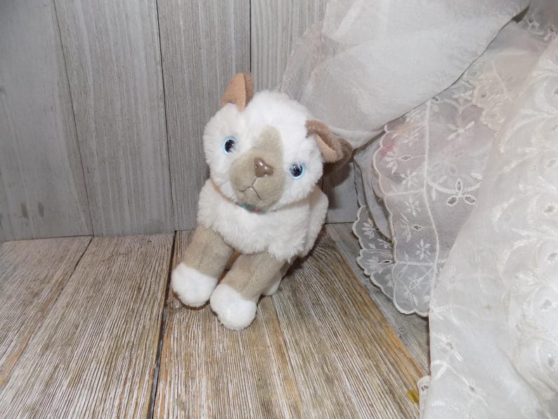 May include: A plush toy cat with white fur, tan ears, and a tan face. The cat has blue eyes and a small blue collar. The toy is sitting on a wooden surface.