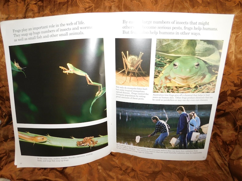 Those Fabulous Frogs Paperback by Melvin Berger Author Etsy