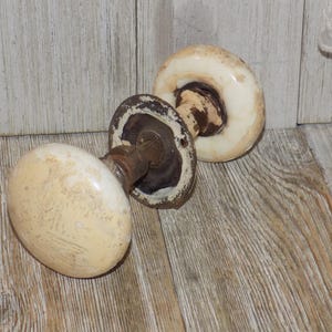 May include: Two antique door knobs with a cream-colored, oval-shaped design. The knobs have a distressed appearance with brown and white accents. The hardware is made of metal and has a vintage aesthetic.