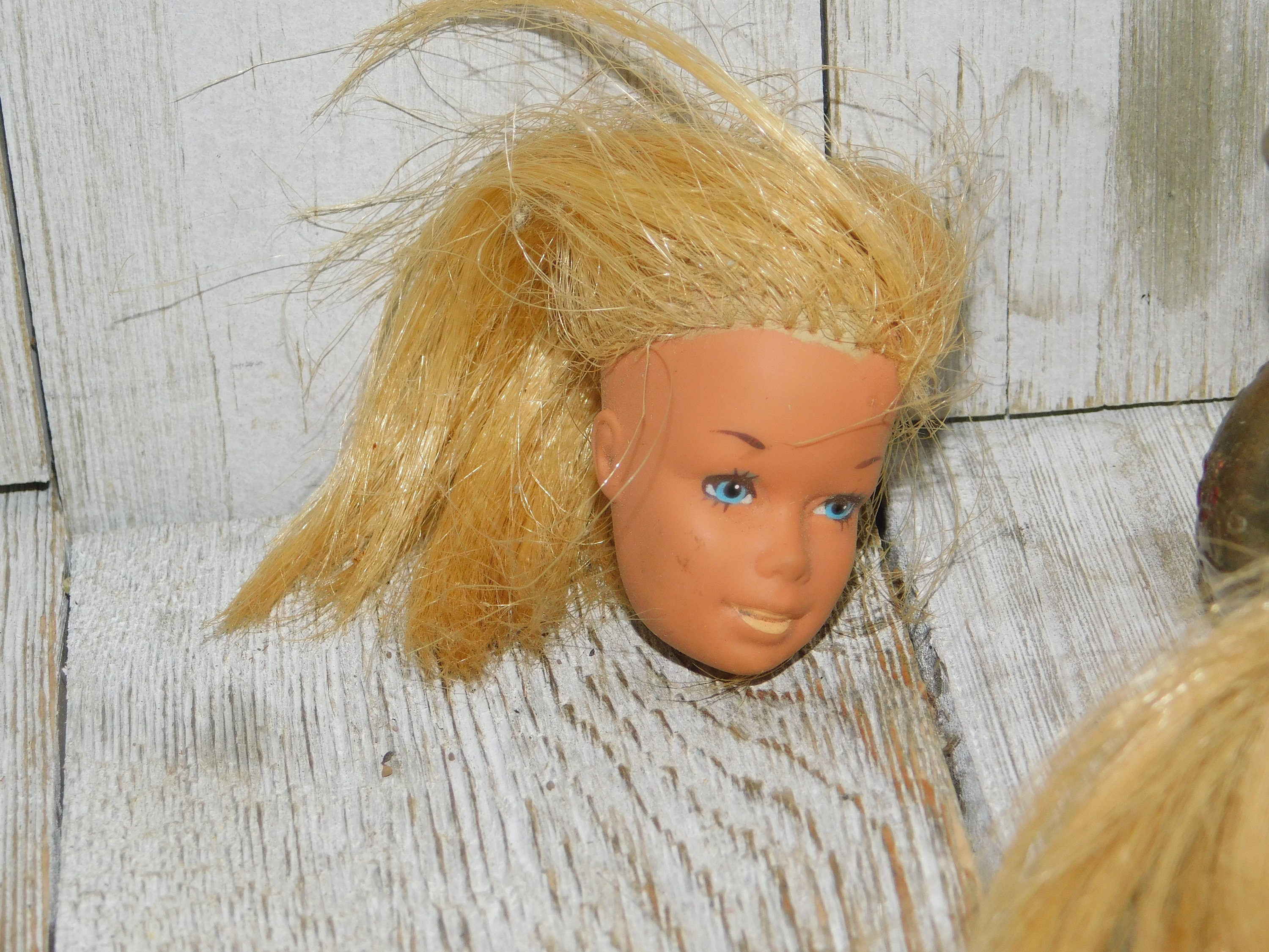 barbie head doll