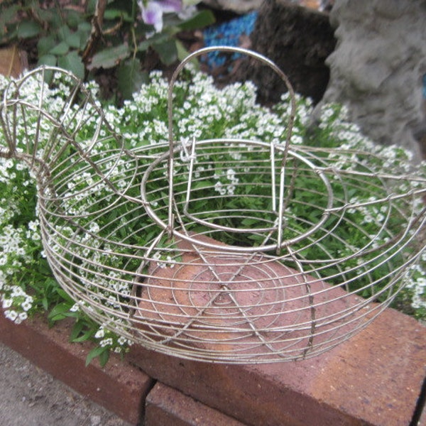 Country Farm Kitchen Wire Chicken Hen Basket Great Display for Fake Eggs