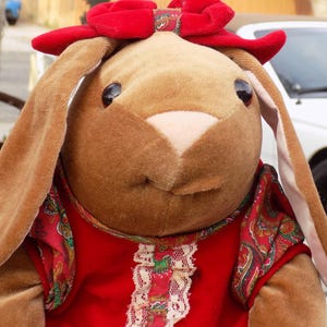 May include: A plush bunny rabbit toy with long ears and a red bow. The bunny wears a red dress with a paisley pattern and white lace trim. The toy is brown and has black eyes.