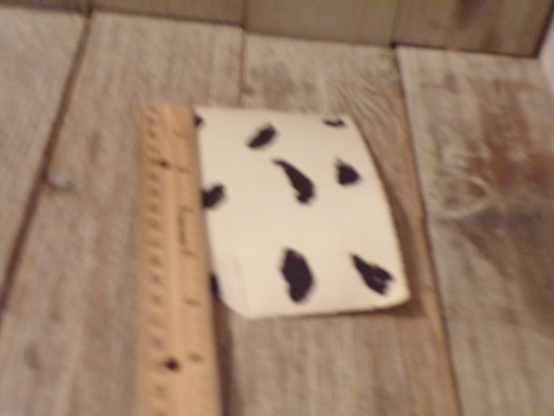 May include: A small, cream-coloured object featuring irregular black spots, reminiscent of a cowhide pattern. A wooden ruler is positioned beside the object. The background is a light-coloured wooden surface.
