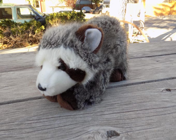 Douglas Cuddle Toys Ringo the Raccoon #4147 Stuffed Animal Toy EUC ...