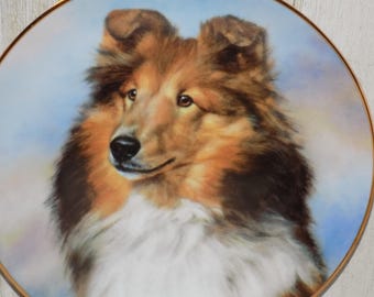 Danbury Mint Shetland Sheepdog Sheltie  Perfect Pose, Limited Edition Plate, Memories, Gift, Prop, Daysgonebytreasures *y