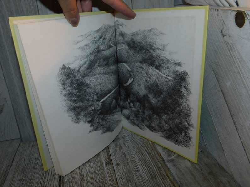 May include: An open book with a black and white illustration of a winding road through a mountainous landscape. The book has a yellow cover.