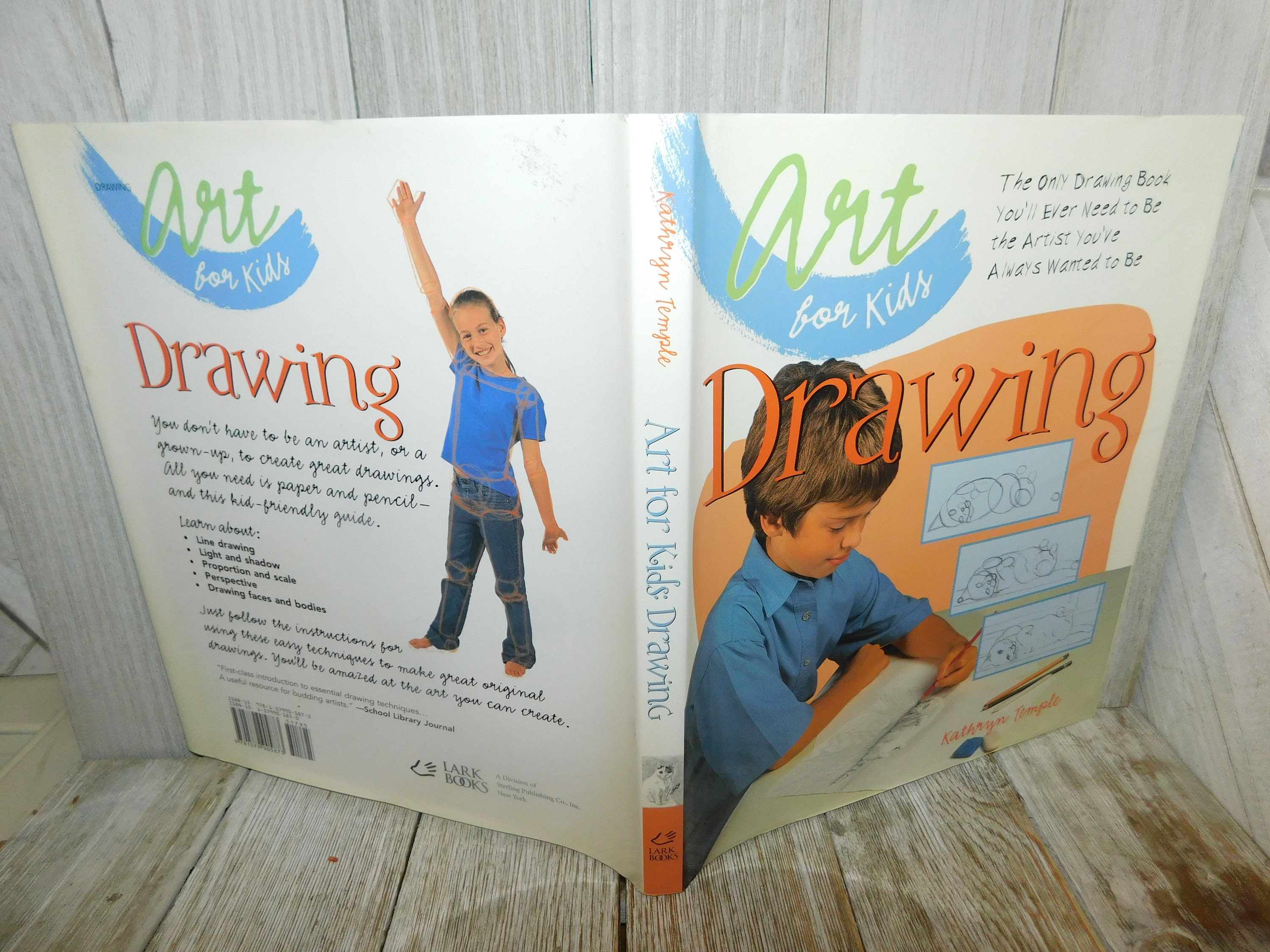 Art for Kids Drawing 2 Kathryn Temple, the Only Drawing Book You