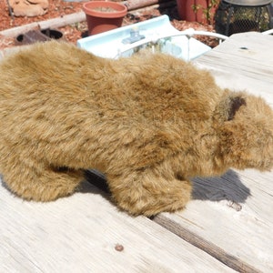Dakin 1985 Stuffed Plush Bear Dakin Vtg Plush Animal Dakin Toys, Dakin Bear, Teddy Bear, Vintage Stuffed Animals, Daysgonebytreasures *y