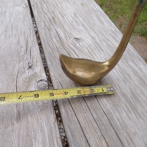 Pu&ograve; includere: Una scultura di cigno in ottone con un collo lungo, che misura 23 cm di lunghezza. Il cigno &egrave; seduto su una superficie di legno.