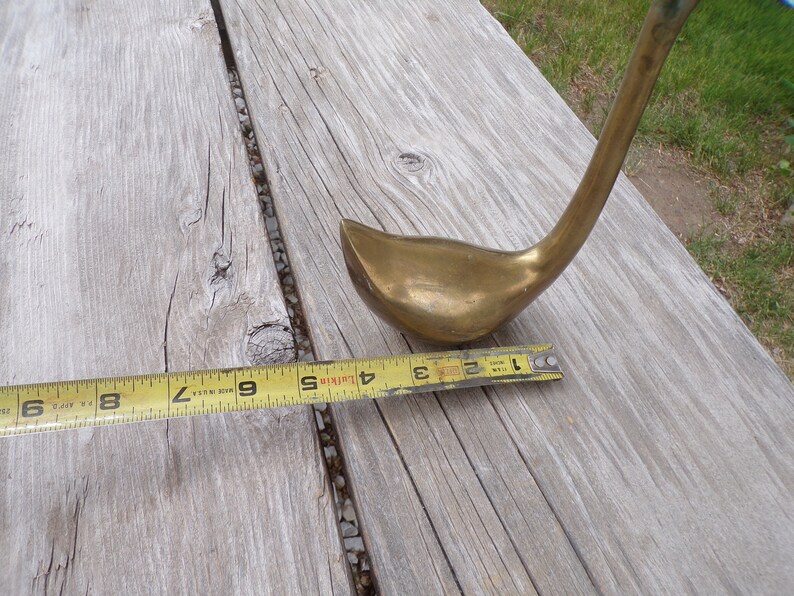 Pu&ograve; includere: Una scultura di cigno in ottone con un collo lungo, che misura 23 cm di lunghezza. Il cigno &egrave; seduto su una superficie di legno.