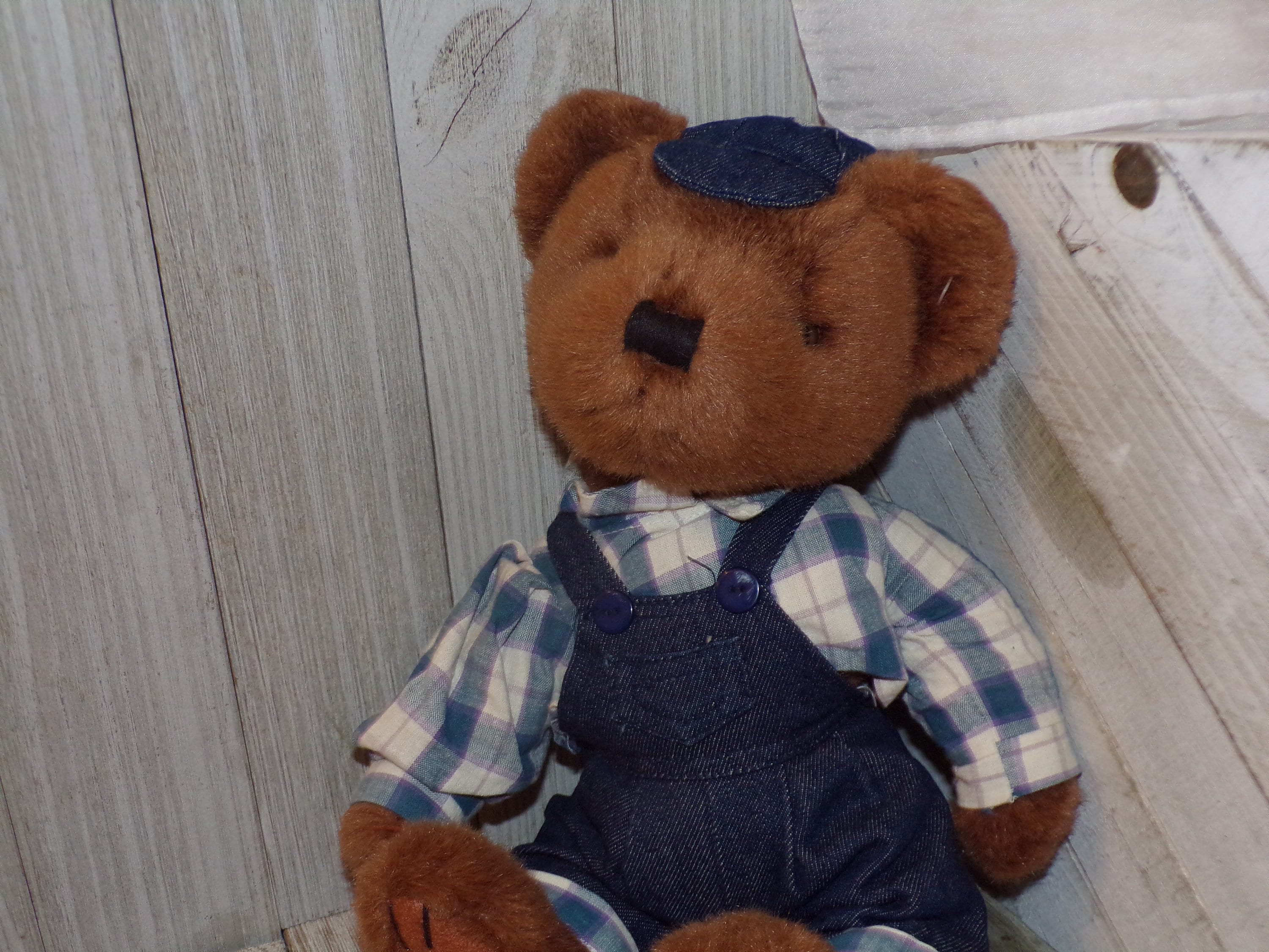 Teddy bear in best sale overalls