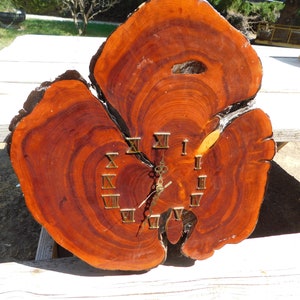 May include: A wooden clock with Roman numeral markings on a natural wood slice. The clock face is a rich reddish-brown color with dark brown rings.