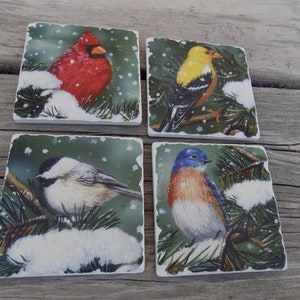 May include: Set of four square coasters featuring detailed illustrations of various birds in a snowy winter scene. Each coaster showcases a different bird species, including a red cardinal, a yellow finch, a chickadee, and a bluebird, all perched on snow-covered branches.