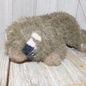 Puede incluir: Un juguete de peluche que se asemeja a un mapache, con pelaje marr&oacute;n y gris, una mancha blanca en la cara y ojos negros. El juguete est&aacute; acostado de lado con la cabeza apoyada en las patas.