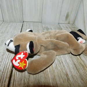 K&ouml;nnte beinhalten: Ein braunes und schwarzes Waschb&auml;r-Beanie Baby mit einem roten und wei&szlig;en Etikett, auf dem "Ty Beanie Babies" steht.