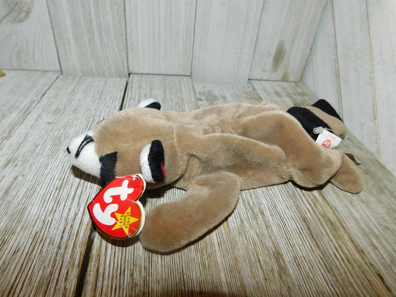 K&ouml;nnte beinhalten: Ein braunes und schwarzes Waschb&auml;r-Beanie Baby mit einem roten und wei&szlig;en Etikett, auf dem "Ty Beanie Babies" steht.