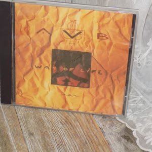 May include: A CD case with a cover featuring an orange, textured background. The cover has the text "WAY OF LIFE" and stylized letters and symbols. The CD case is in a clear plastic case with a black spine.
