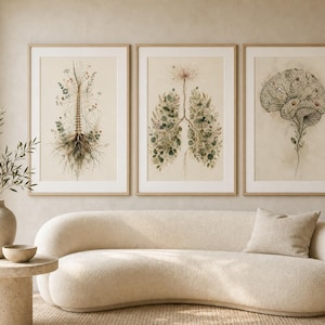 Może przedstawiać: Trzy oprawione grafiki ścienne przedstawiające botaniczne ilustracje ludzkiej anatomii. Lewa grafika ukazuje kręgosłup, środkowa płuca, a prawa mózg, wszystko wykonane z misternymi detalami w postaci kwiatów i liści.