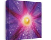 Morning Glory Flower Canvas Print, Macro Botanical Wall Art, Violet Petals, Dewdrops, detail view (Bill Shew)