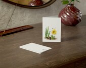 White Daffodil Greeting Card, Digital Art Print, Botanical Card, Blank Inside, detail view (Bill Shew)