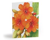 Orange Sea Hibiscus Watercolor Greeting Card, Tropical Floral Art (Blank Inside) by Bill Shew
