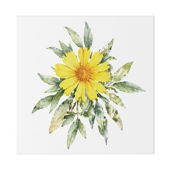 Yellow Coreopsis Botanical Art Watercolor Flower Stretched Canvas | Wildflower Wall Decor, Bill Shew canvas print