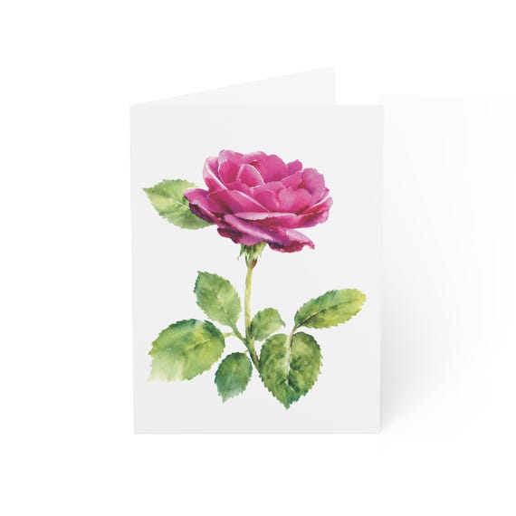 Single Pink Rose Greeting Card, Digital Art Print, Botanical Card, Blank Inside for Any Occasion, Bill Shew wall art print