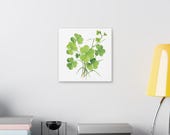 Green Clover Botanical Art Classic Stretched Canvas | Lucky Clover Wall Decor, detail view (Bill Shew)