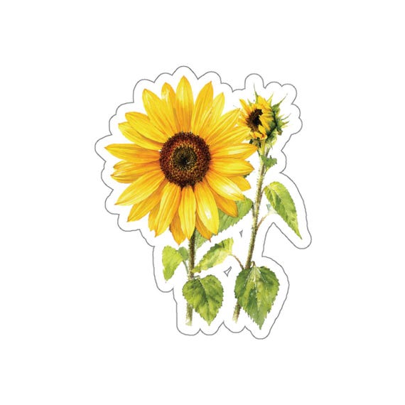Sunflower Sticker, Sunflower Die Cut Sticker, Yellow Flower Botanical Sticker by Bill Shew