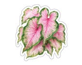 Pink Caladium Leaf Sticker, Tropical Botanical Die Cut by Bill Shew