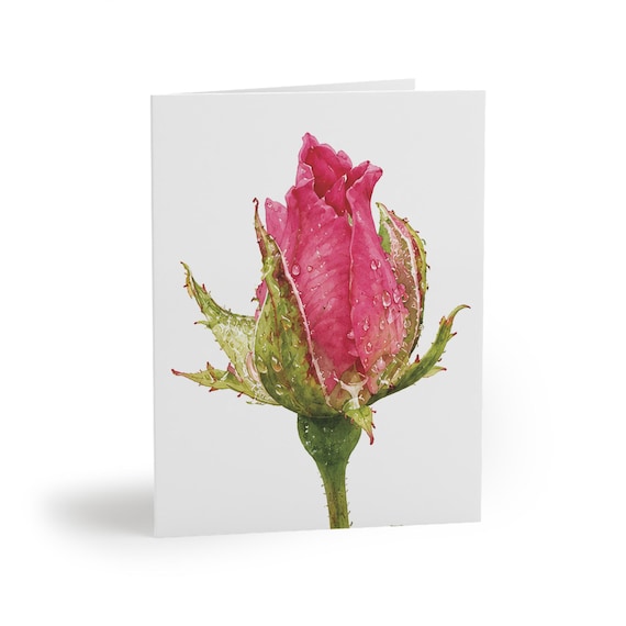 Pink Rose Bud Watercolor Greeting Card, Botanical Floral Art, Blank Inside Pink Rose Bud Watercolor Greeting Card, Botanical Floral Art, Blank Inside by Bill Shew