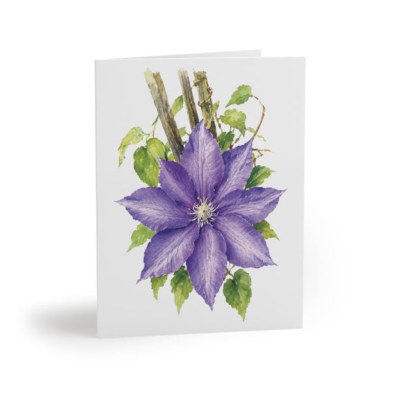 8 cards - Purple Clematis Watercolor Greeting Card, Botanical Floral Illustration by Bill Shew