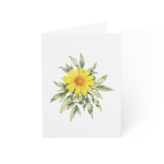 Coreopsis Flower Greeting Card, Digital Art Print, Botanical Card, Blank Inside, Bill Shew wall art print